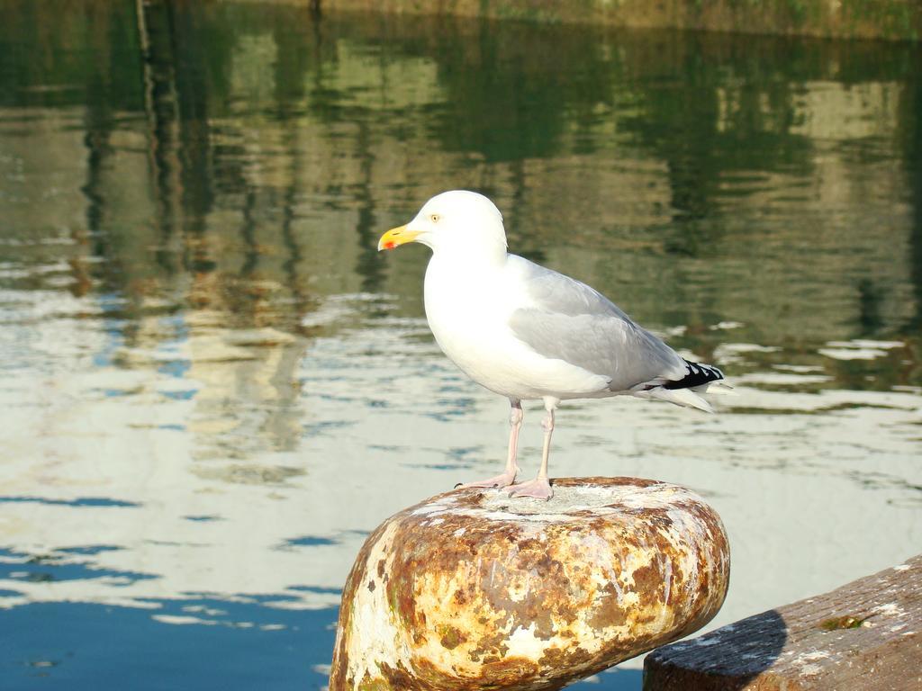 Kernel Bihan Pont-lʼAbbé エクステリア 写真